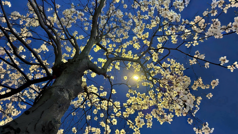 Event Test Mua Nhiều Vé Cùng 1 Lúc