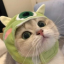 Single image